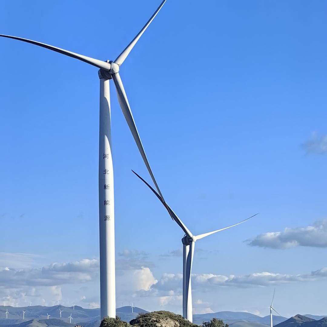 向山向海向草原