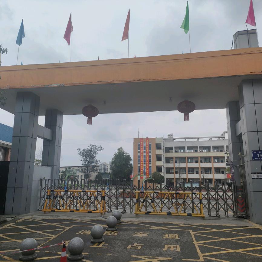 杨老师谈升学