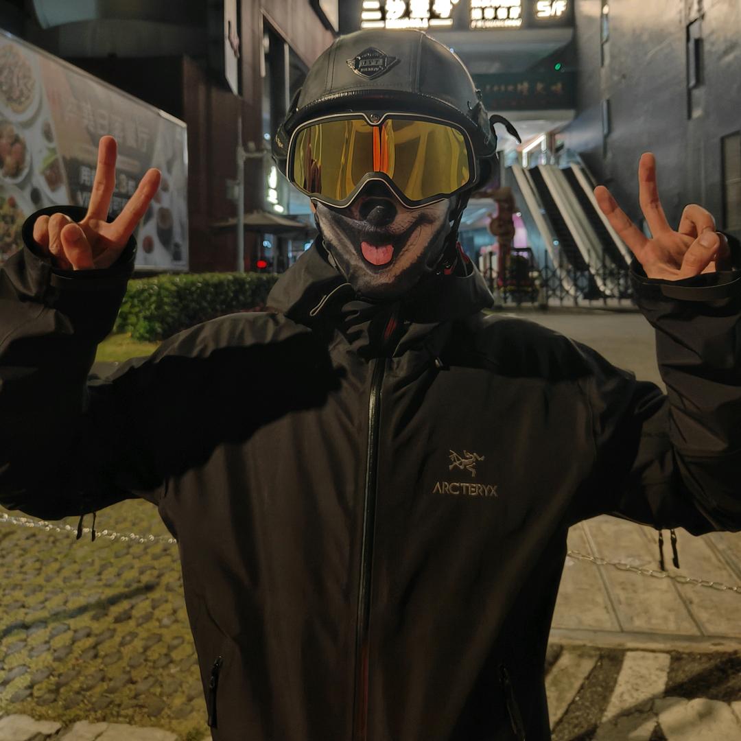 ARC大表哥(风尘记）