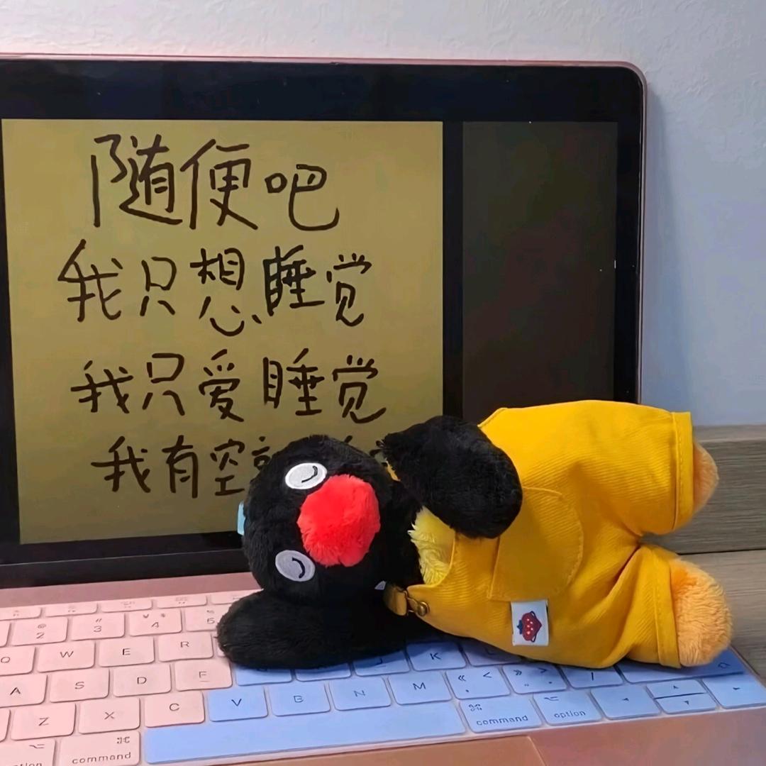 传.