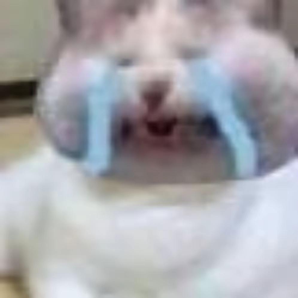 楚中天