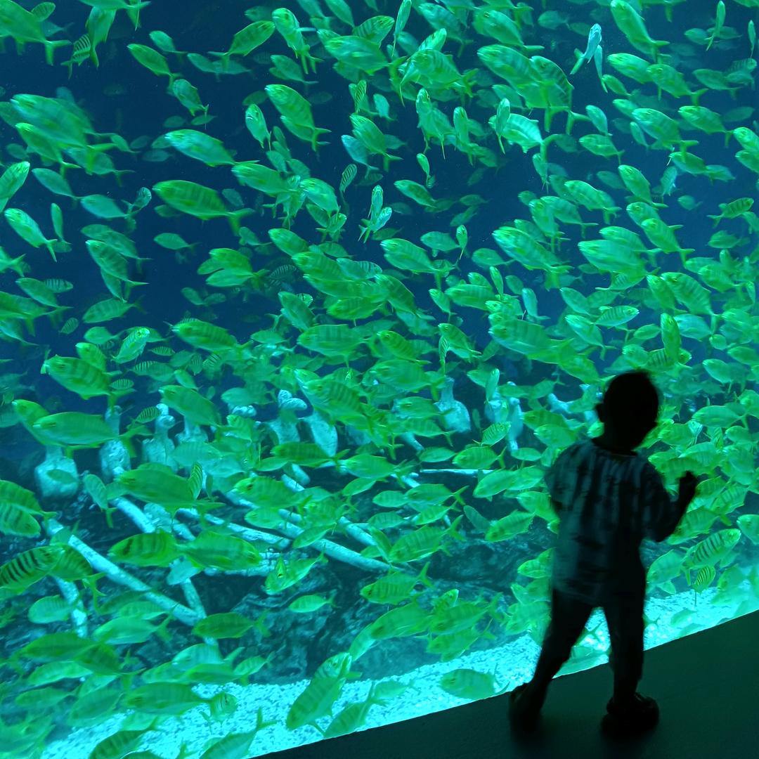 爱的世界只有你