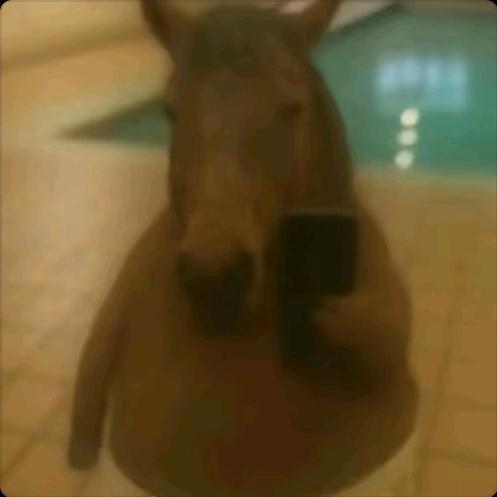 白羊૮(˶ᵔ ᵕ ᵔ˶)ა