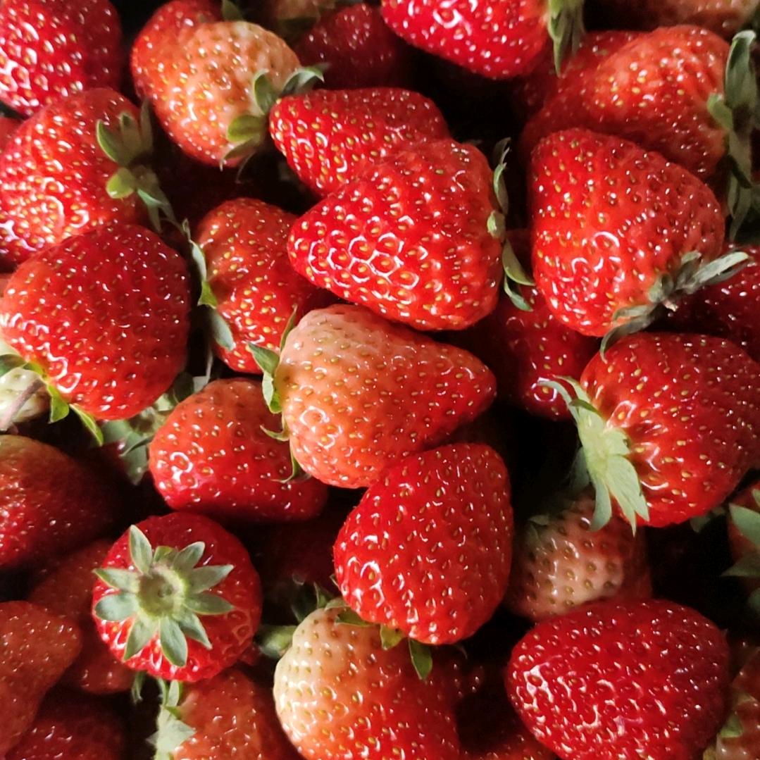 定位“天天草莓园”