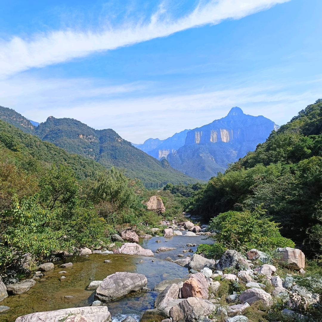 河南开封董（白酒行业）