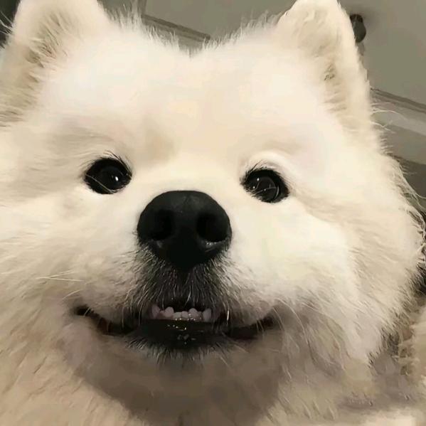 绝情小修勾