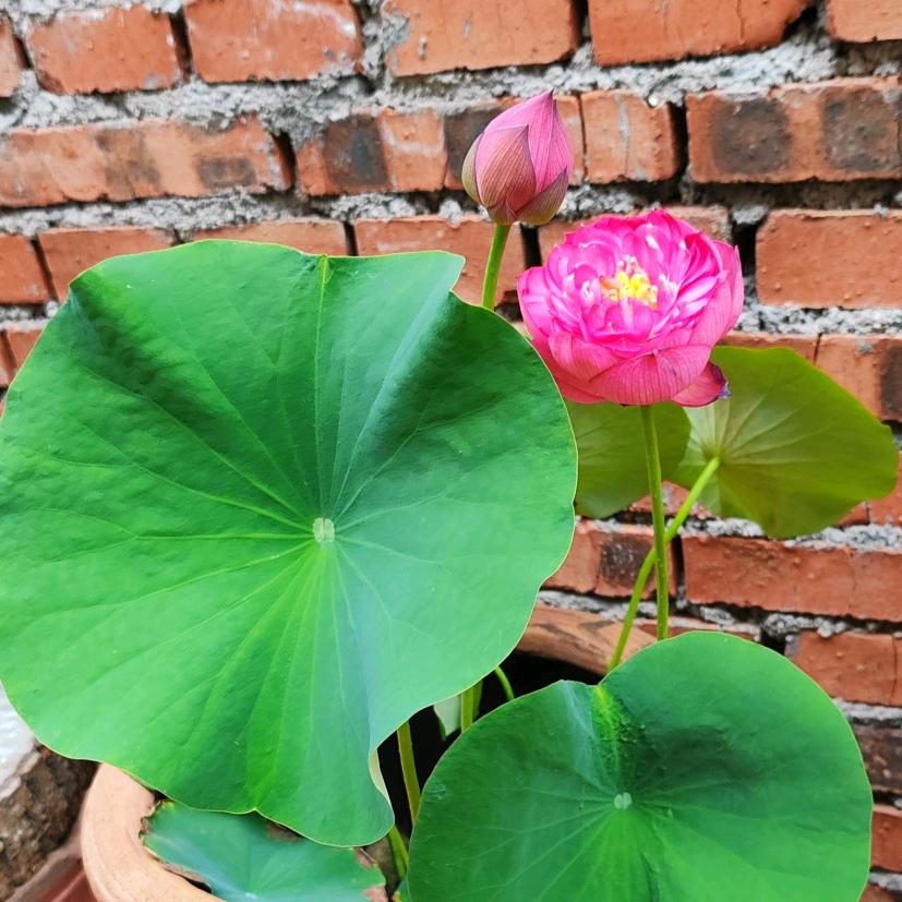 张记家常菜馆
