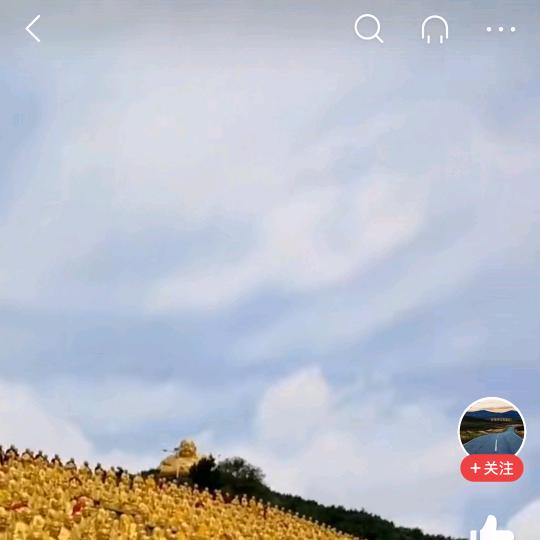 李大姐