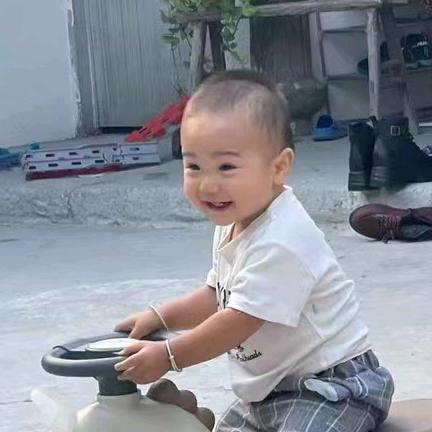 《扛枪到处浪》