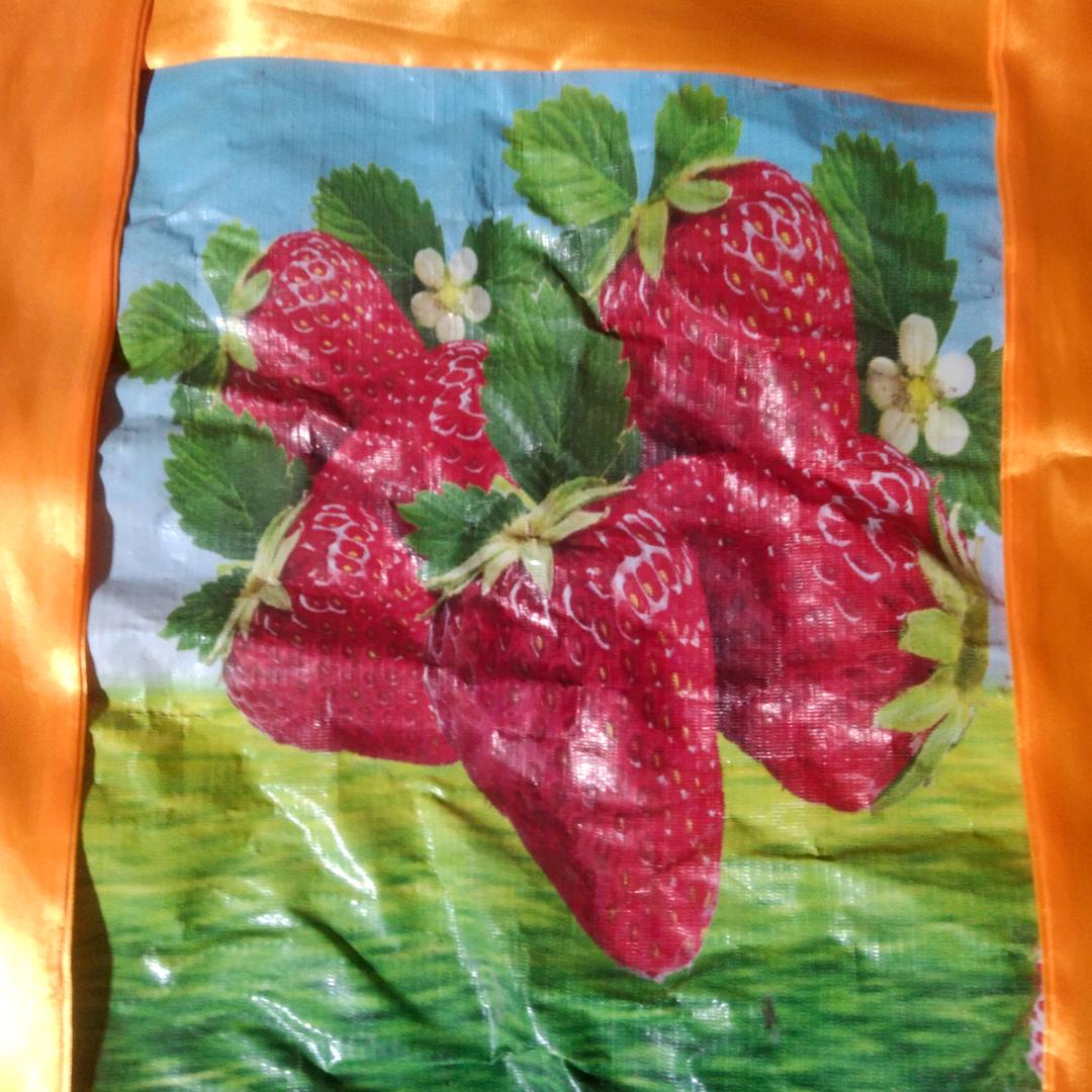 草绿莓红
