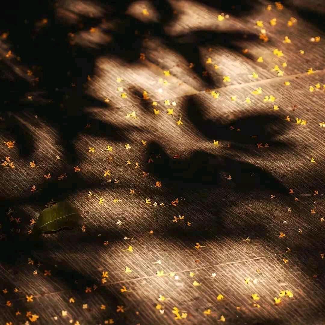 克林索尔的夏天（感性少妇强制爱）