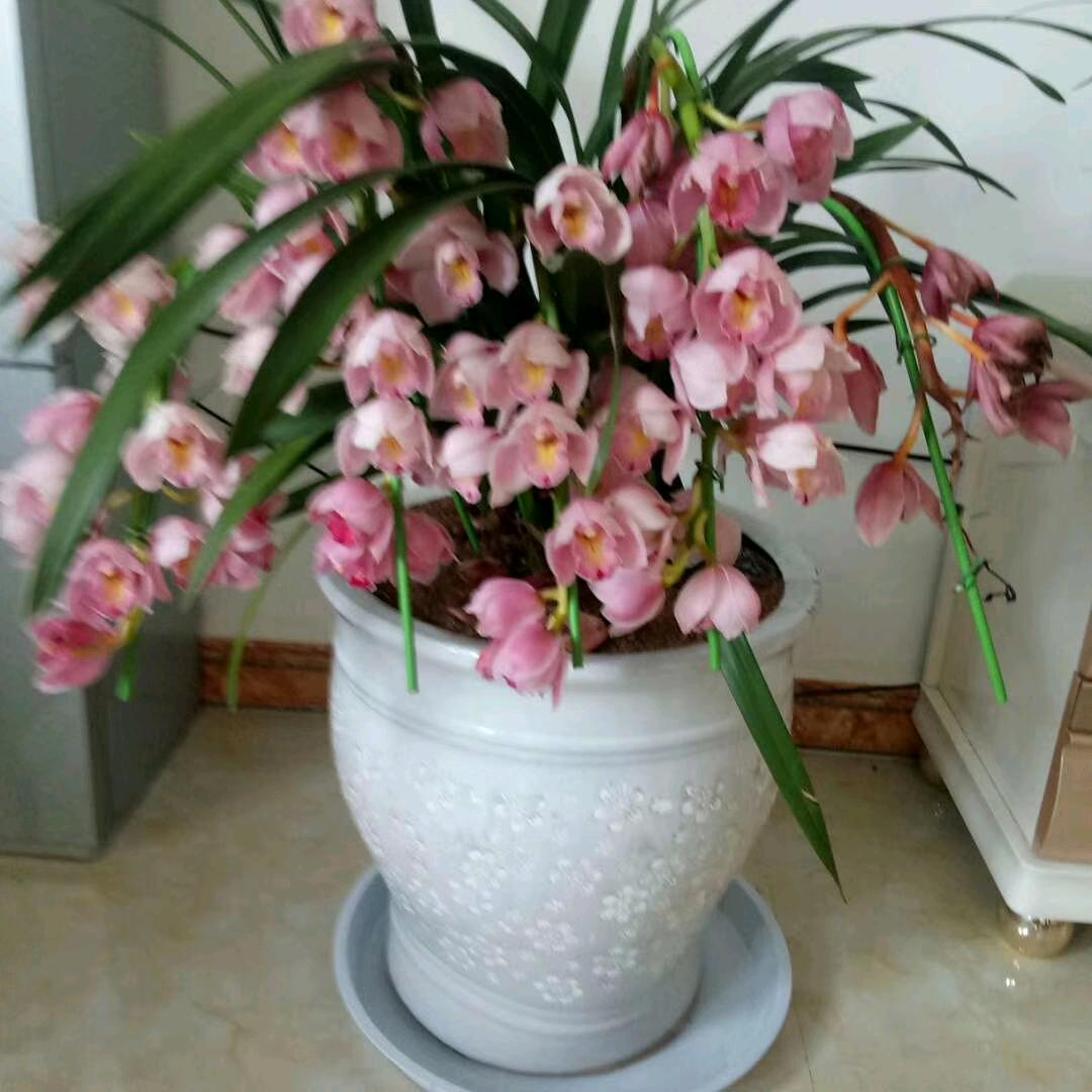小懂