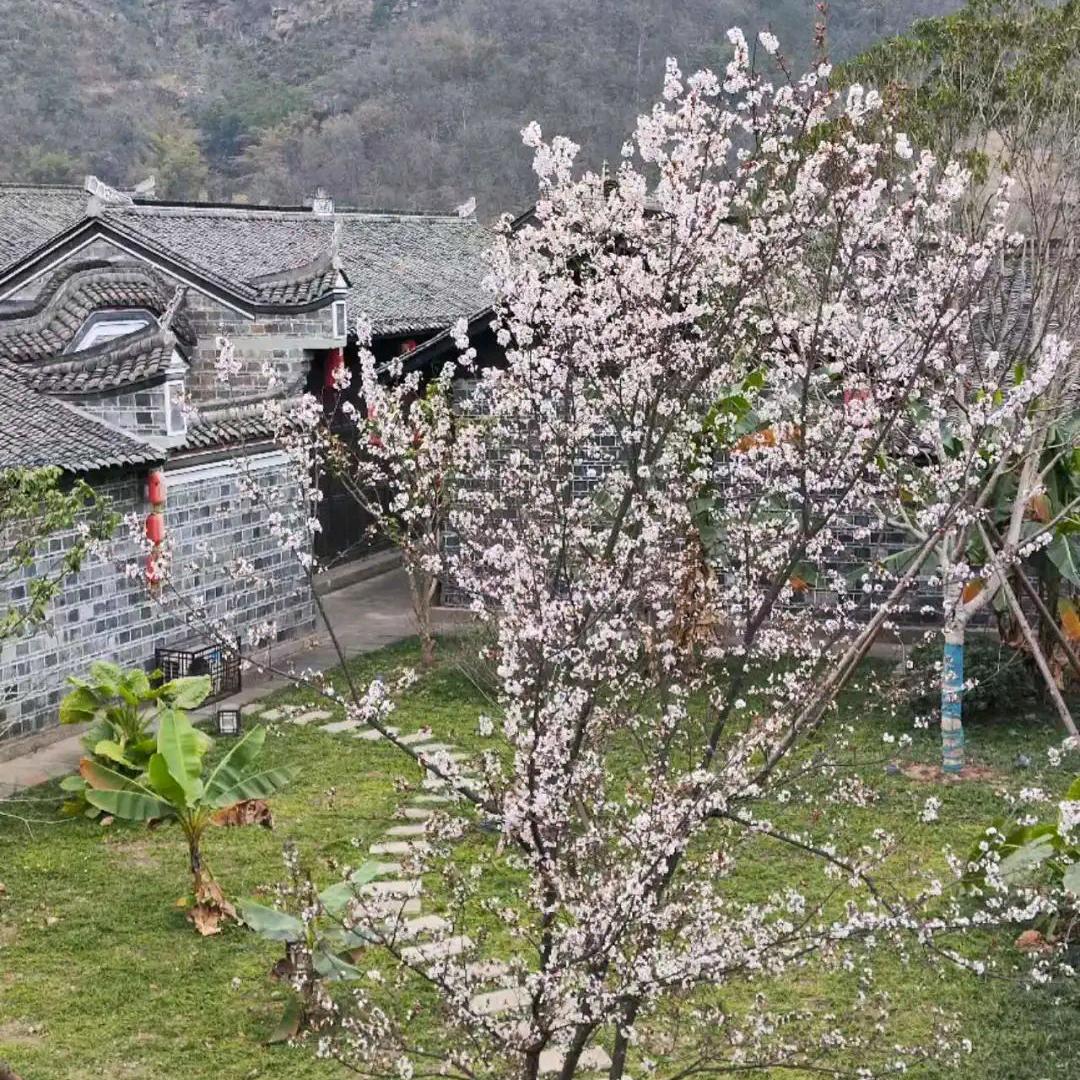 💞王哪🍒李跑💝