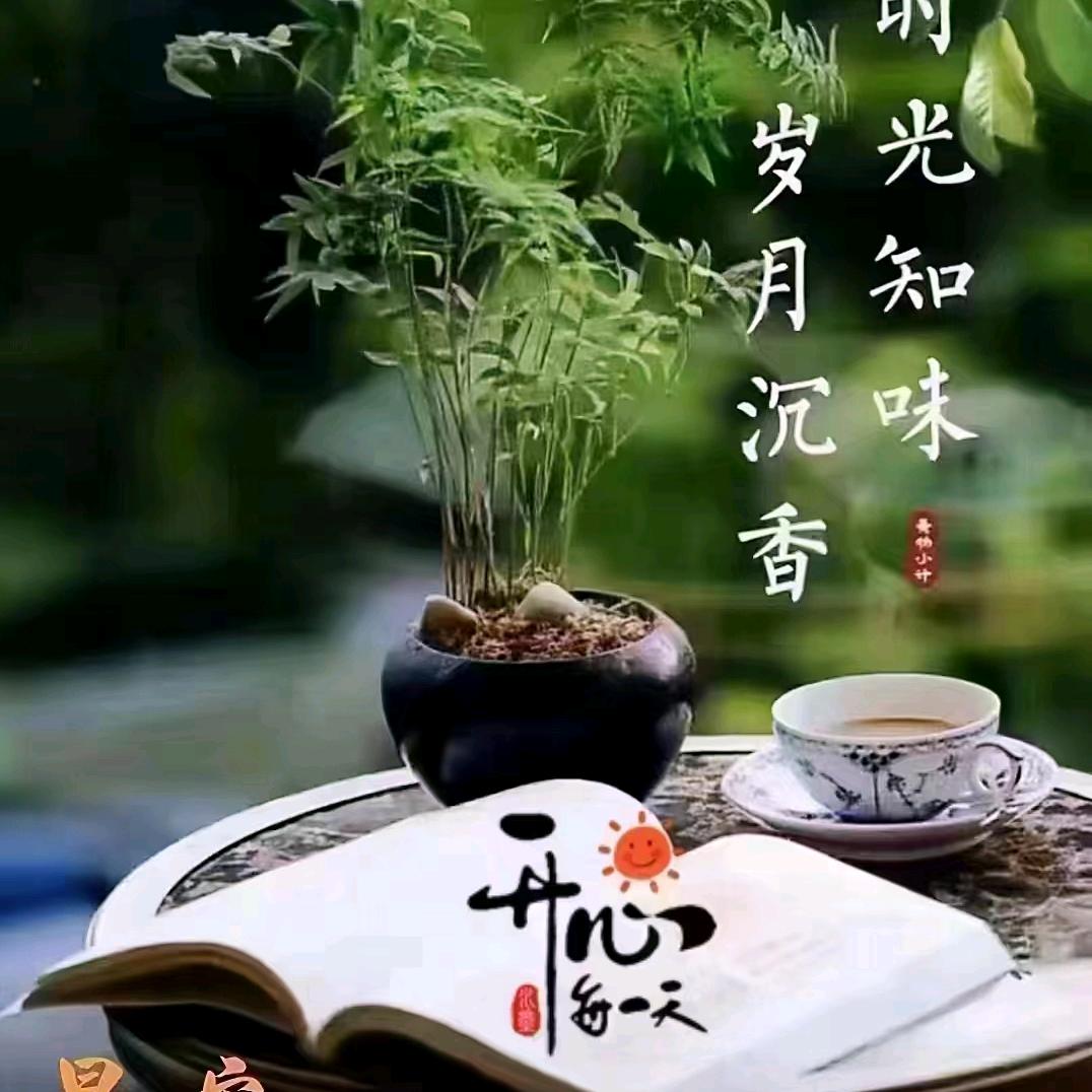 独爱