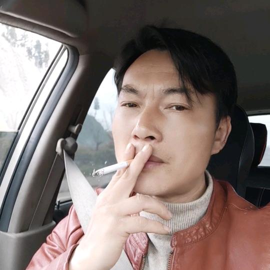 风少精品下司犬