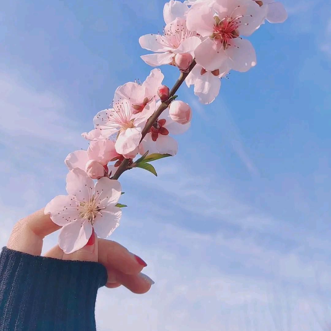 单身没有罪
