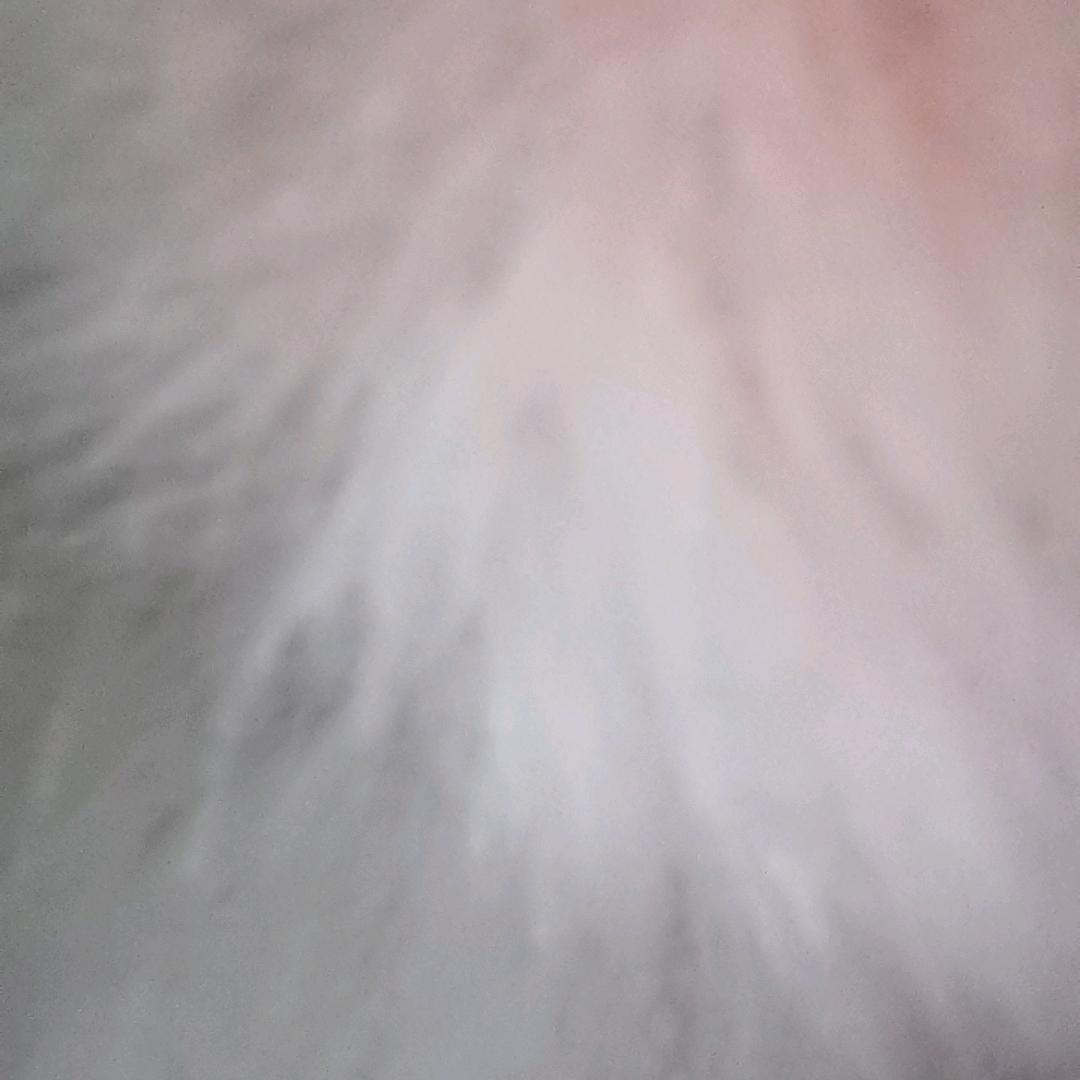 我会懊恼
