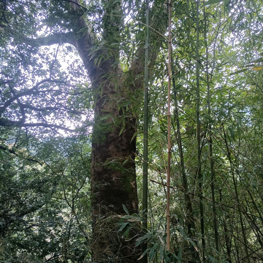春花秋实