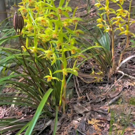 知足常乐快乐每一天