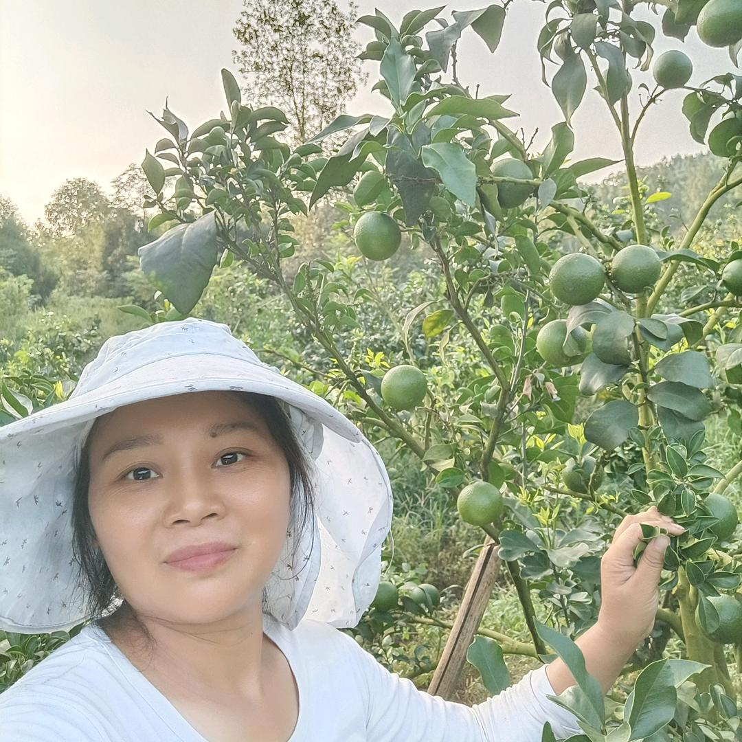 桔子姐不定时首播，刷到我的明友请留步，
