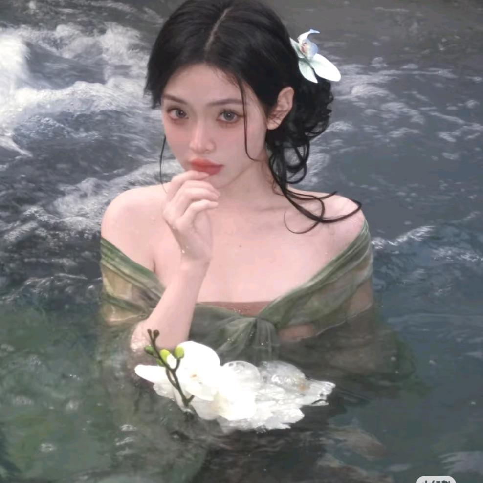 铁锅炖大鹅（2）