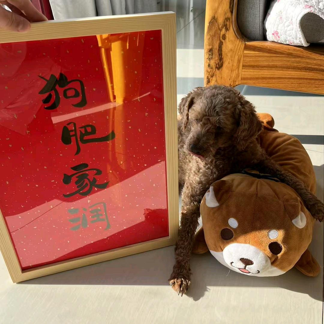 今天星期狗