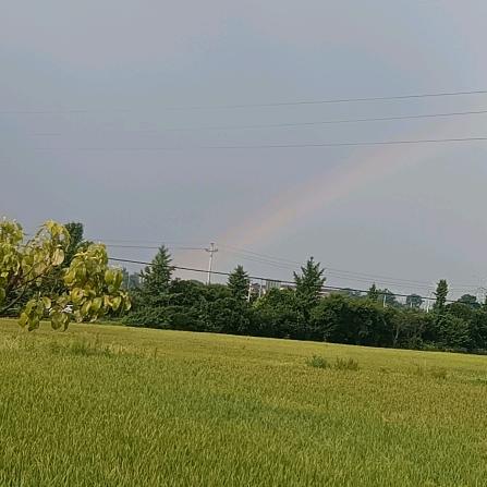 爱钓鱼的火锅崽