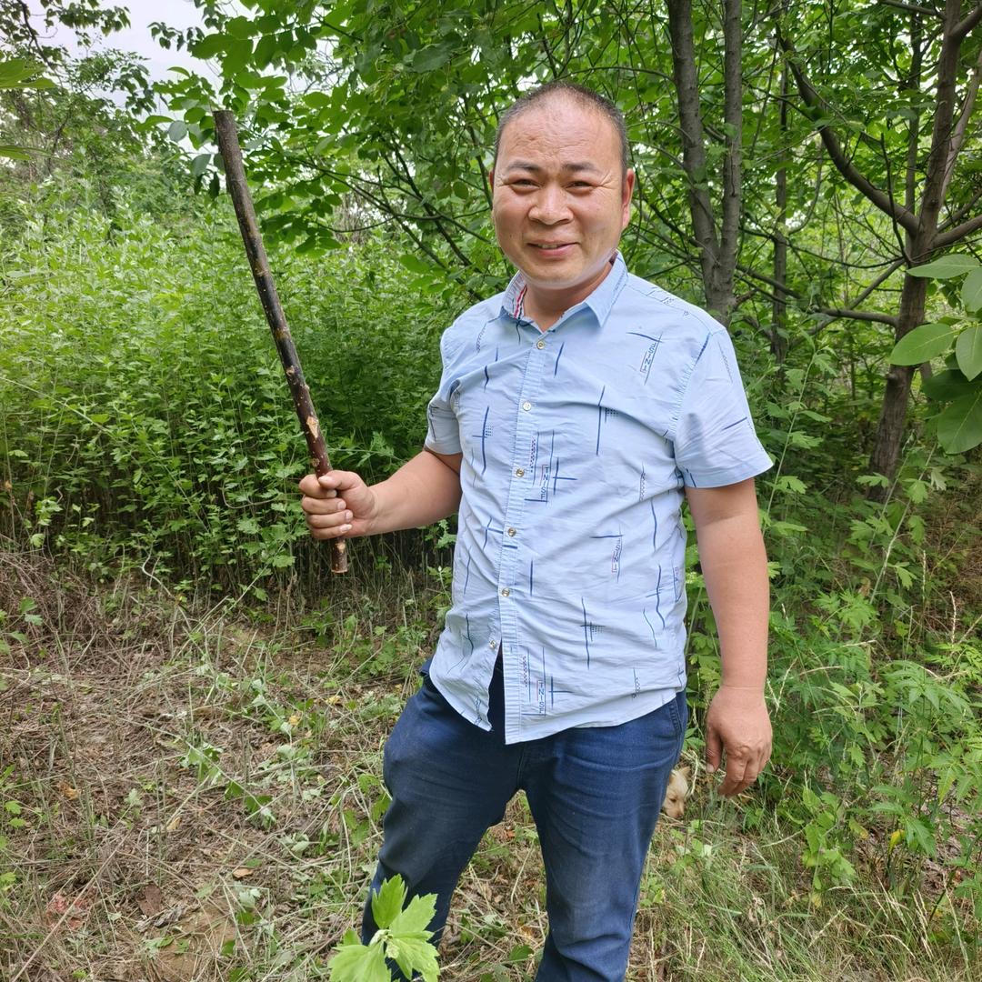 有才哥（钓鱼人爱书法）