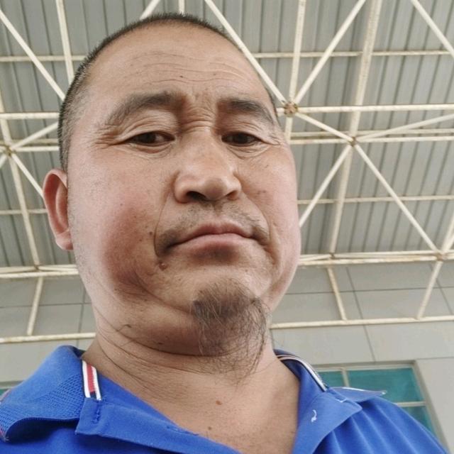 蚂蚁搬运工程
