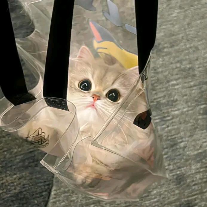 我是小可爱😊