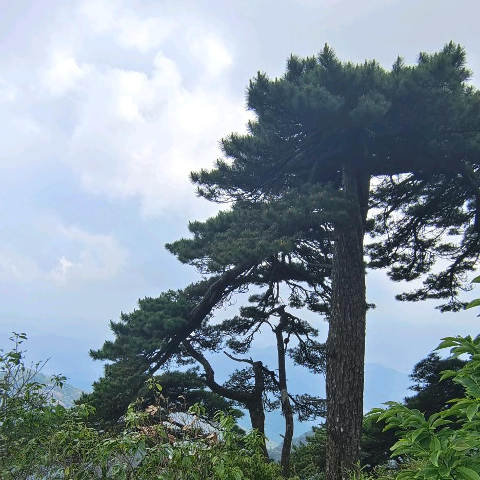 余生很贵请别浪费