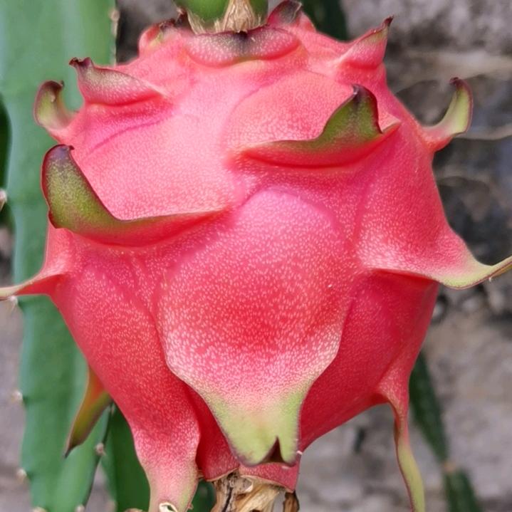 @AᎭℯ⃝一介໑ຼₒ₂₅俗人ོ: AᎭℯ