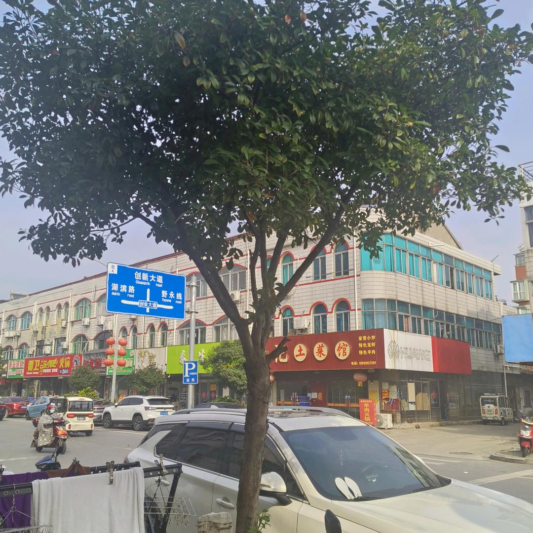 新的一天新开始