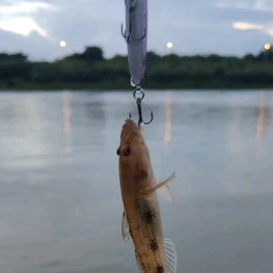 昨夜的12