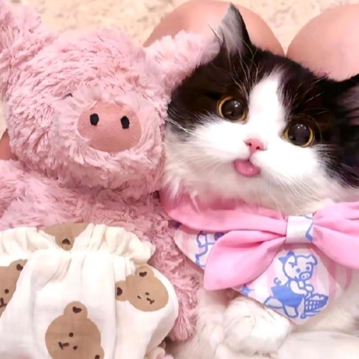 ℳᦒ᭄᪲唯你独爱এꦿ᪲࿐