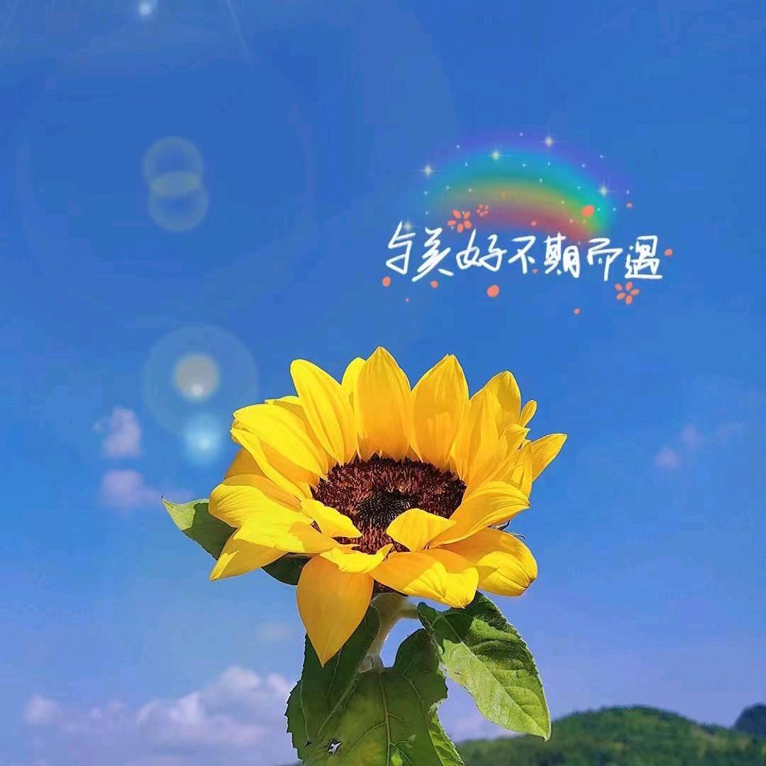 秋姐饰品