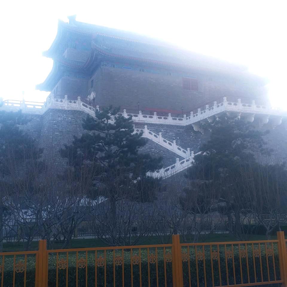 安好爱养鱼