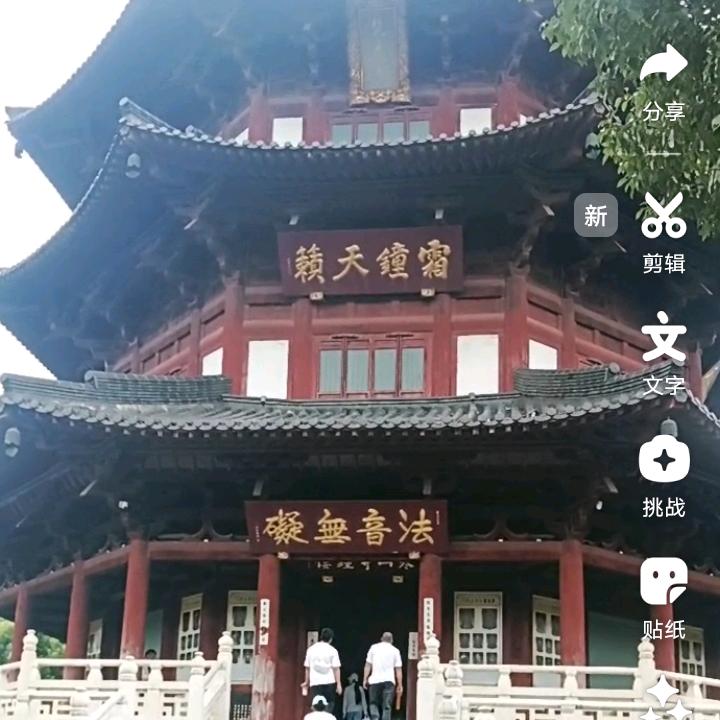 不在一心向月