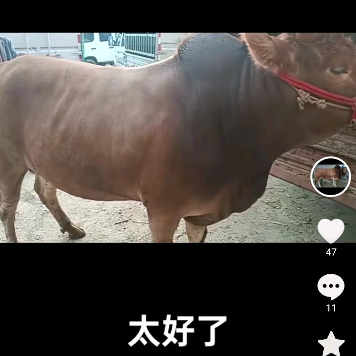 小不了