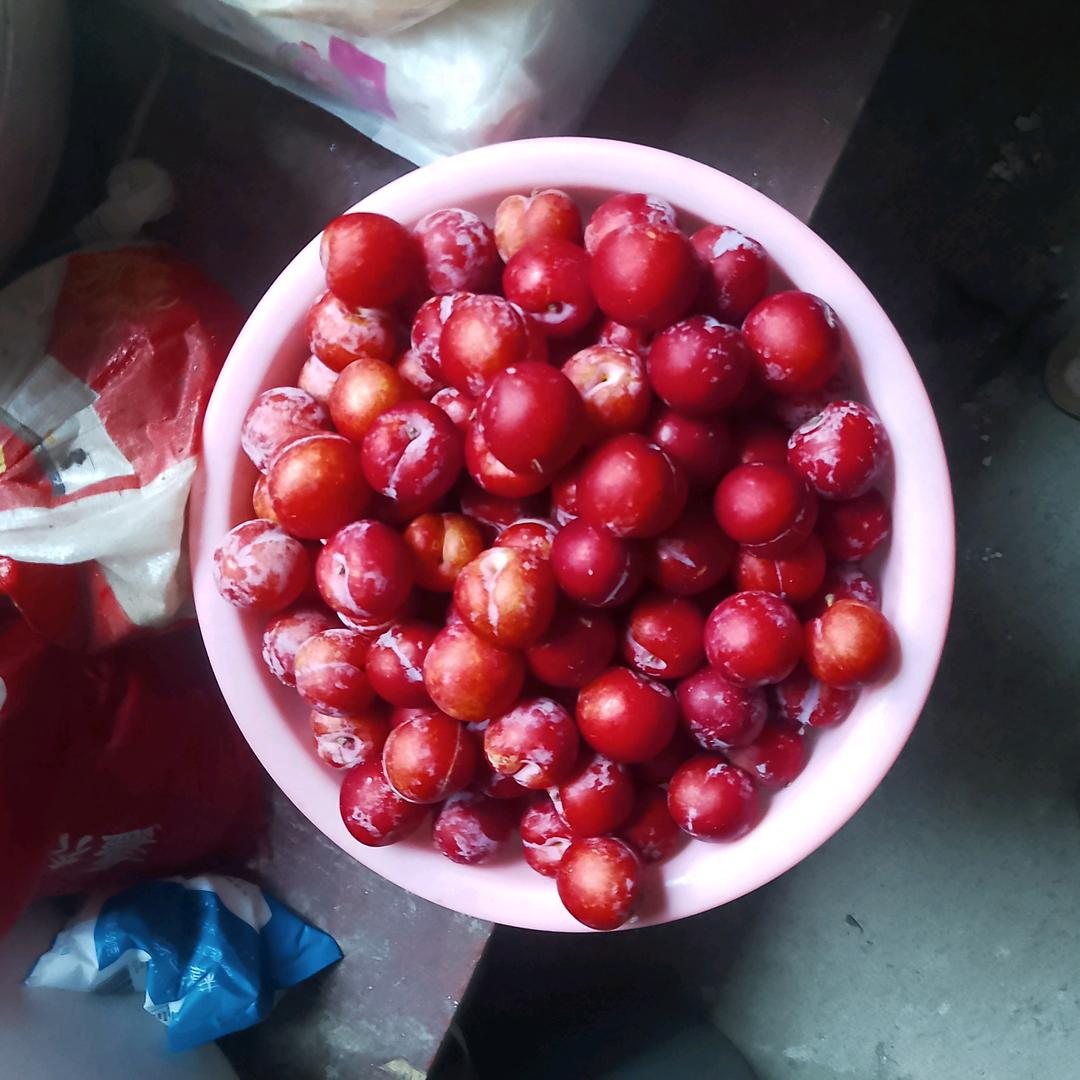 刘宇泽