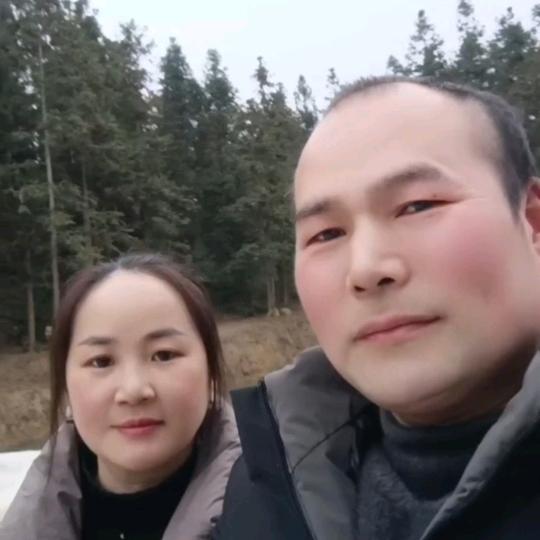 姓名学刘大师