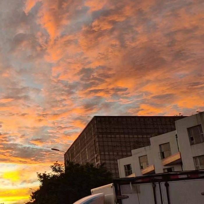 情有独钟～～～