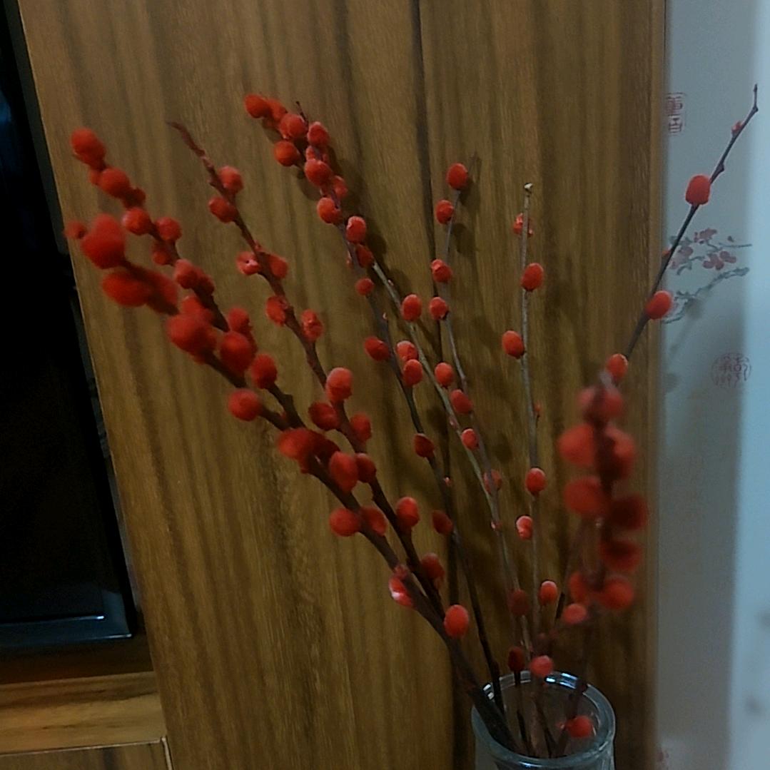 福泽之周🦋¹⁰⁸