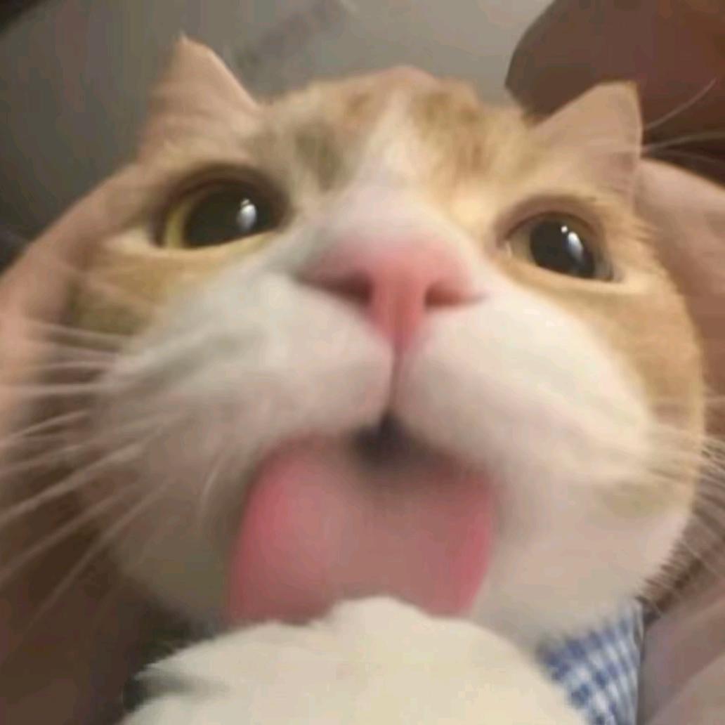 见过了