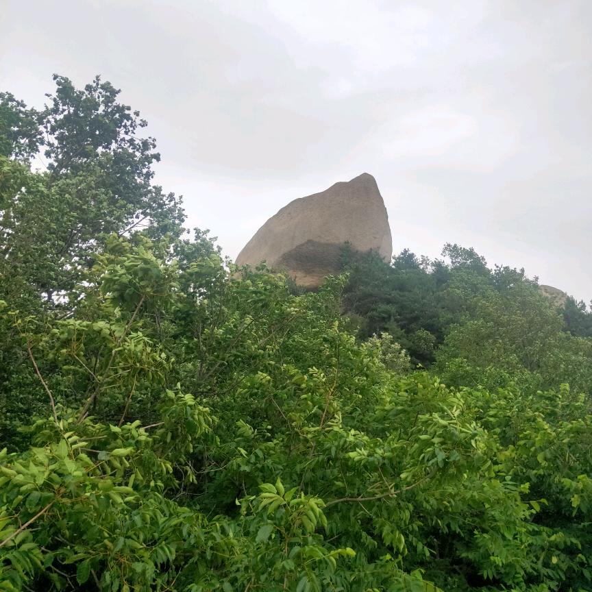 沉默