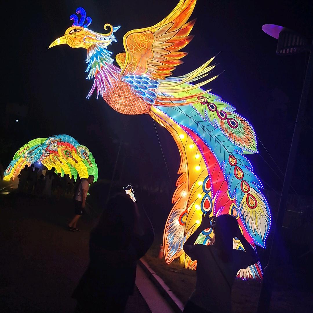 开 心 果