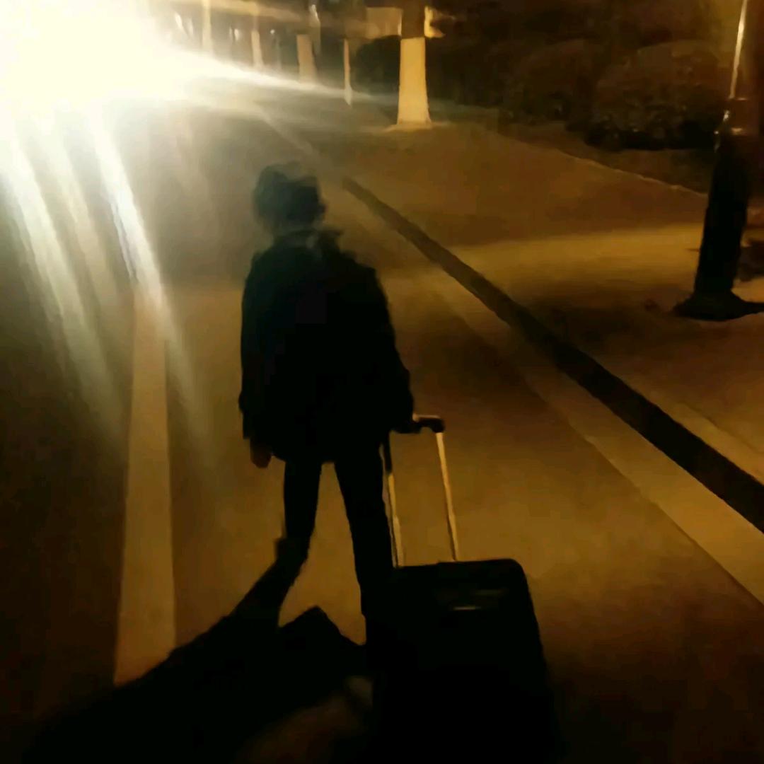 边疆狼🐺（普罗特，窜子，实战猎犬）