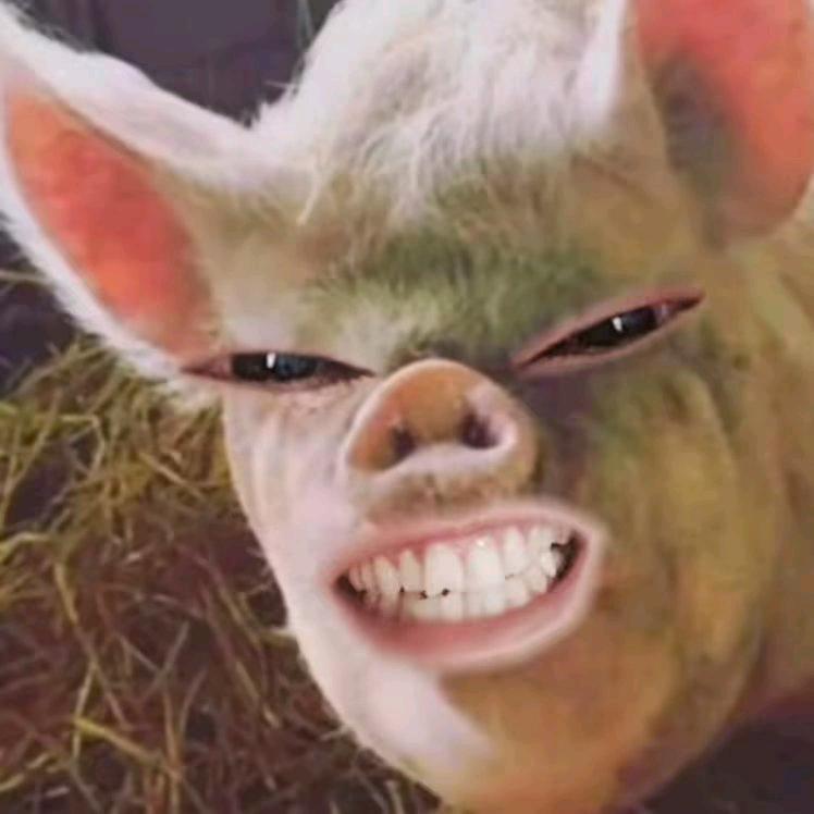 动物世界
