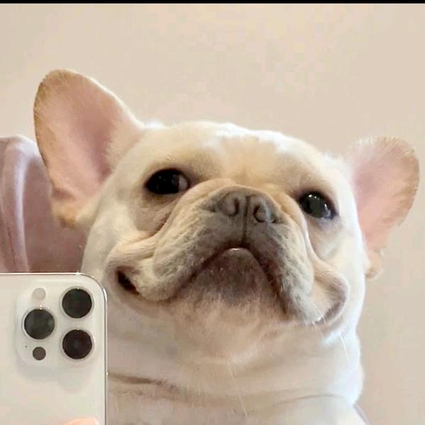 小兮梦