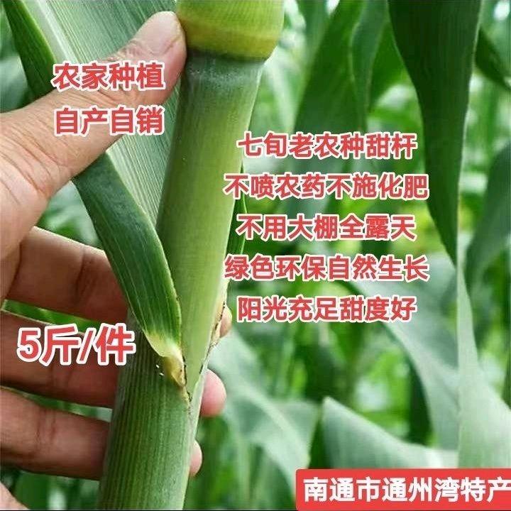 三叶草